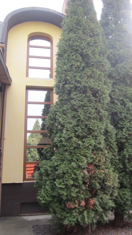 Emi Vendeghaz Hotel Balatonszárszó Exterior foto